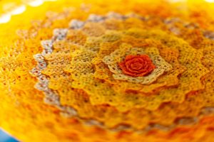 33902477_1625466890899672_75307411107217408_o